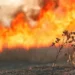Двое суток боролись с масштабным пожаром в горах Ушконыр