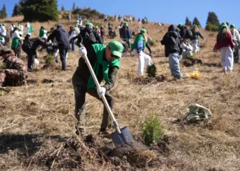 В Иле-Алатауском нацпарке стартовал новый этап проекта “Halyk орманы“