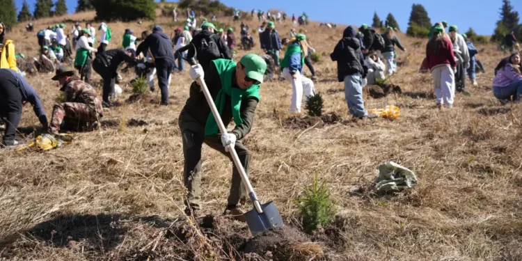 В Иле-Алатауском нацпарке стартовал новый этап проекта “Halyk орманы“