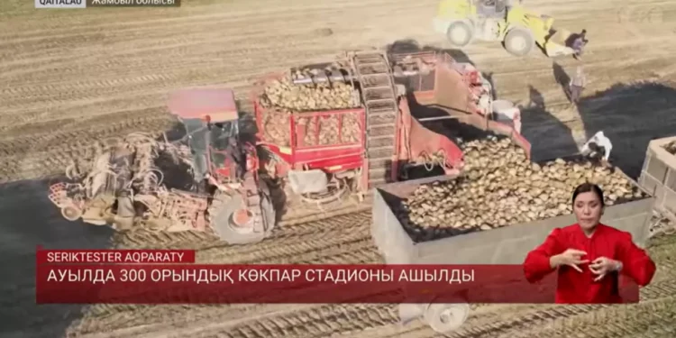 Qyzylsha Zher: как частный бизнес возрождает свеклосахарную отрасль Жамбылской области