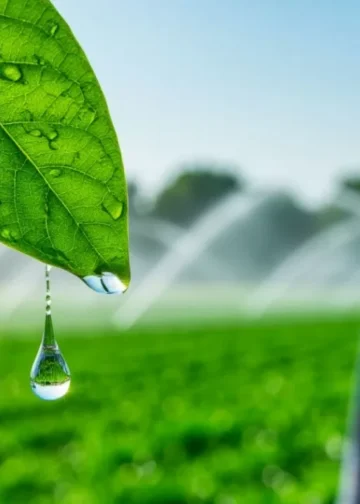 Ни капли больше: глава кабмина сделал предупреждение аграриям