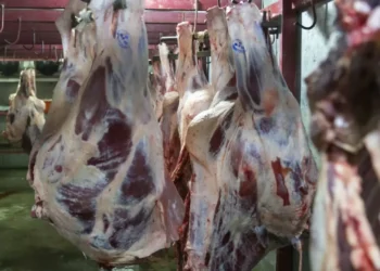 «Соғым-FEST» снова ждет жителей столицы