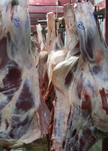 «Соғым-FEST» снова ждет жителей столицы