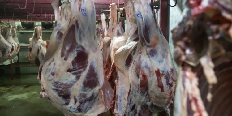 «Соғым-FEST» снова ждет жителей столицы