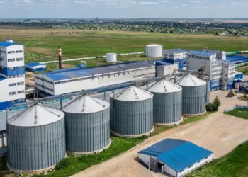 Пшеничный глютен из Казахстана впервые поставили в Японию