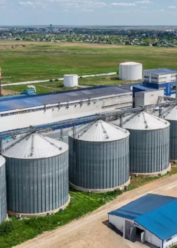 Пшеничный глютен из Казахстана впервые поставили в Японию