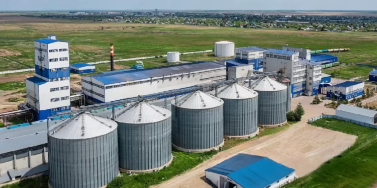 Пшеничный глютен из Казахстана впервые поставили в Японию