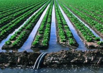 Монополистов наказали за нарушение тарифов на поливную воду