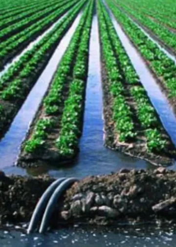 Монополистов наказали за нарушение тарифов на поливную воду