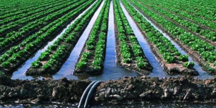 Монополистов наказали за нарушение тарифов на поливную воду