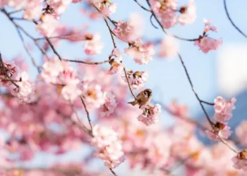 В марте казахстанцы отдохнут дольше обычного