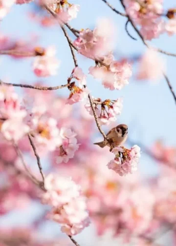 В марте казахстанцы отдохнут дольше обычного
