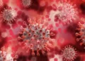 Новый заразный штамм коронавируса распространяется в мире