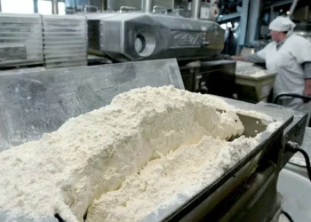 Конаев формирует агропромышленный кластер с экспортом в Китай