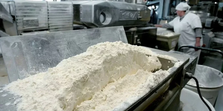 Конаев формирует агропромышленный кластер с экспортом в Китай