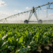 Как К-AGRO снижает зависимость от импорта и развивает регион присутствия