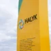 В Казахстане высажен миллионный саженец проекта «Halyk Орманы»