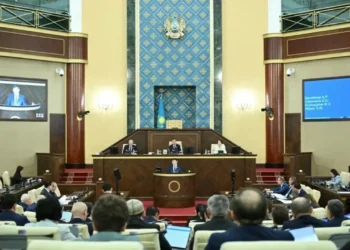 Парламент принял закон о новом органе при президенте РК